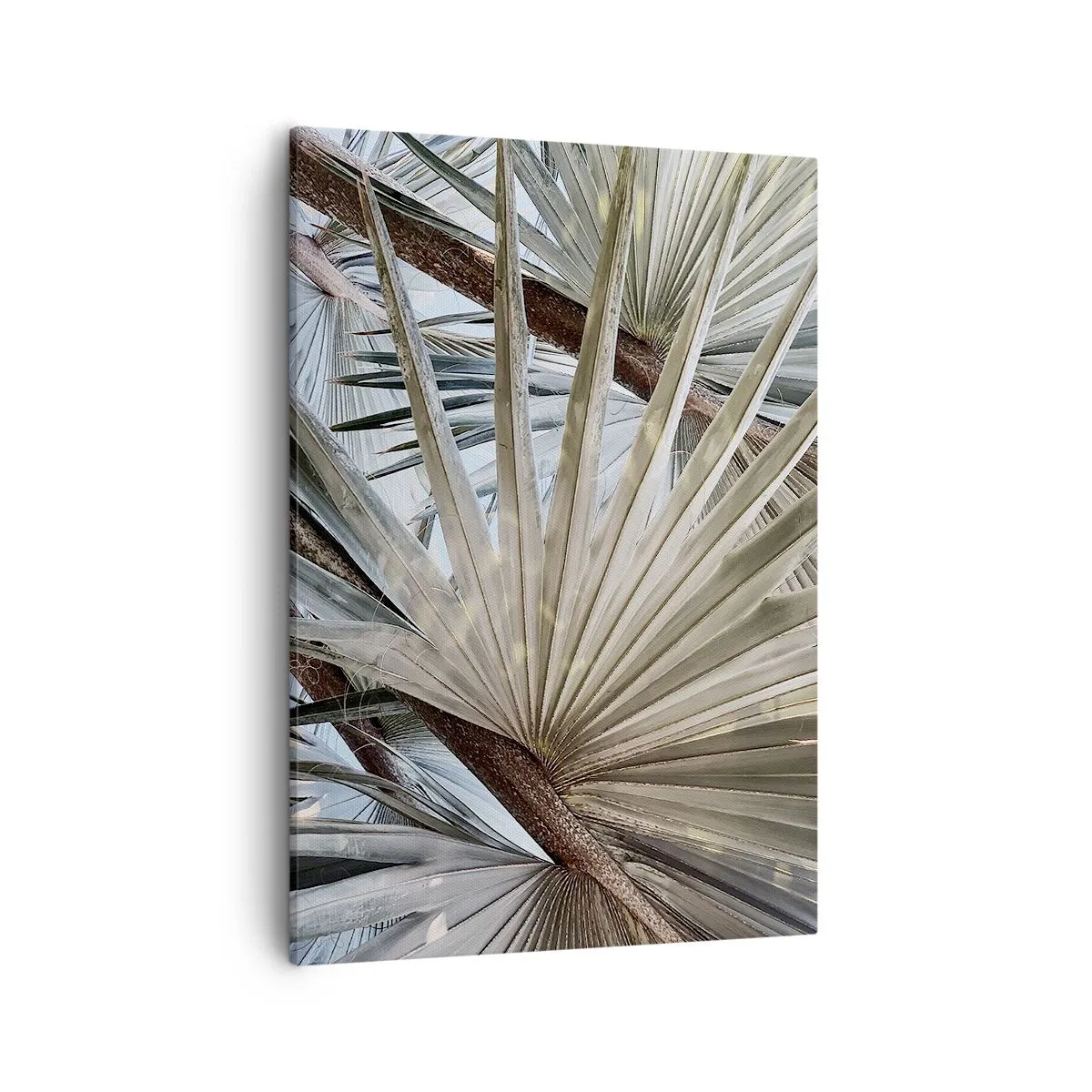 Cuadro sobre lienzo - Impresión de Imagen - Primer plano de hojas de palma en tonos naturales de verde. - 50x70cm - Abanicos en el trópico - Decoración de pared moderna para salón y dormitorio ARTTOR