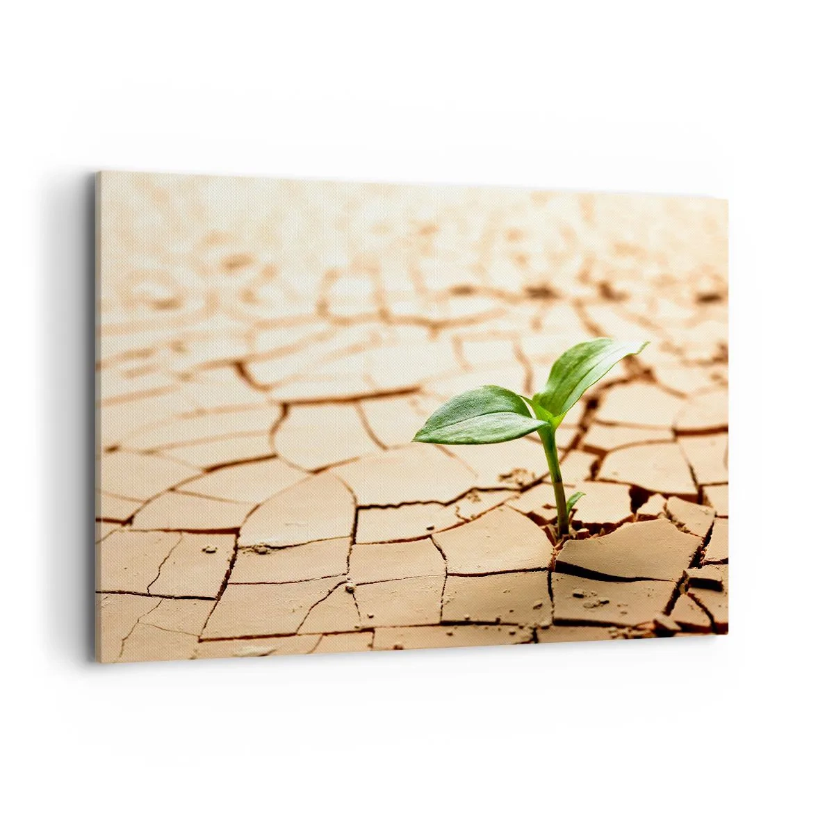 Cuadro sobre lienzo - Impresión de Imagen - Una planta verde que crece en tierra seca y agrietada. - 100x70cm - El poder indomable de la vida - Decoración de pared moderna para salón y dormitorio ARTTOR
