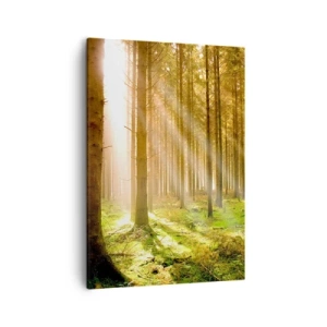 Cuadro sobre lienzo - Impresión de Imagen - Bosque de coníferas con rayos de sol brillando a través de los árboles. - 50x70cm - Los elfos se aproximan - Decoración de pared moderna para salón y dormitorio ARTTOR
