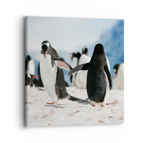 Cuadro sobre lienzo - Impresión de Imagen - Bailando en la nieve - 30x30 cm