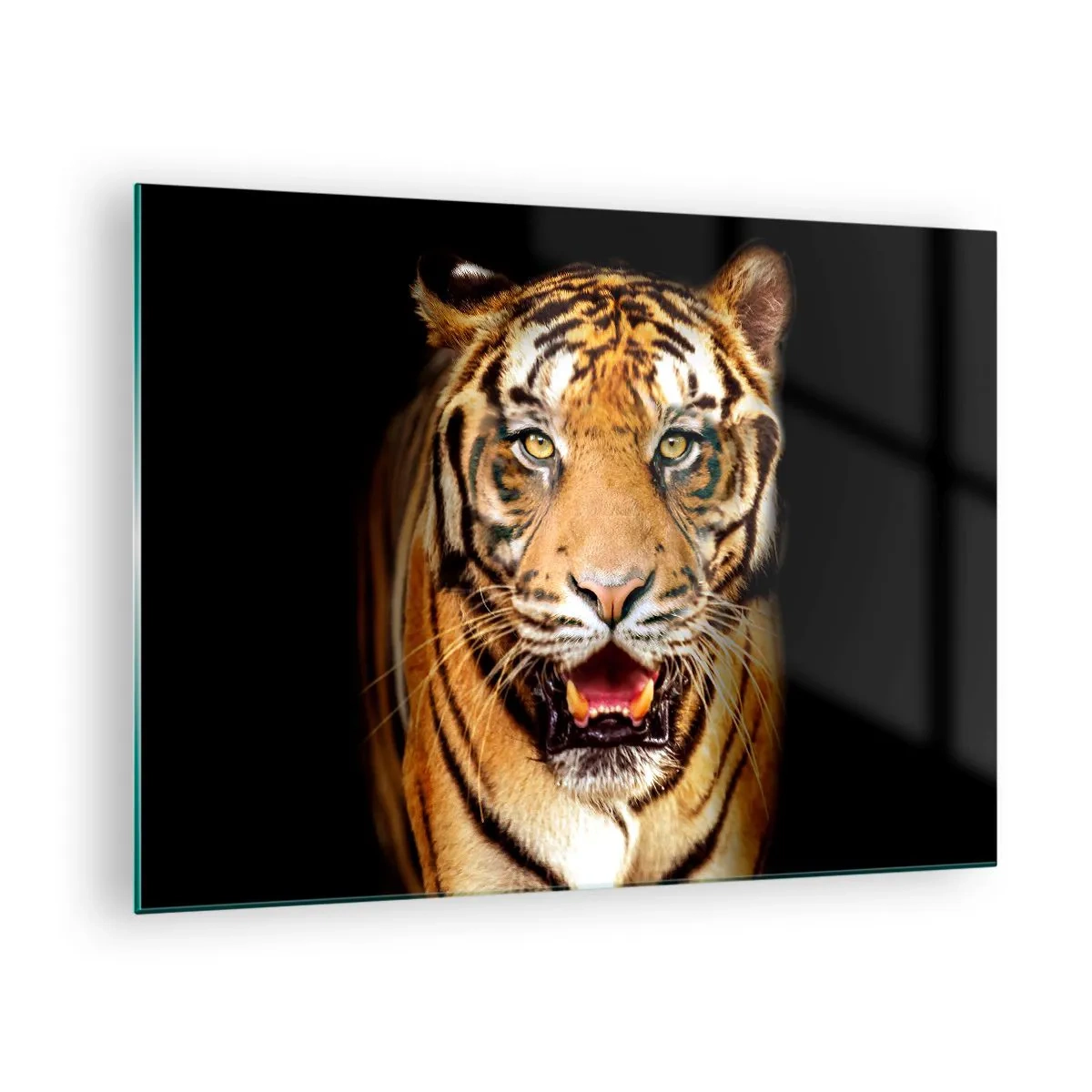 Cuadro sobre vidrio - Impresiones sobre Vidrio - Un tigre sobre un fondo oscuro con una mirada intensa. - 70x50cm - Salvaje de corazón - Decoración de pared moderna para salón y dormitorio ARTTOR