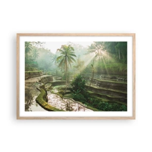 Póster en marco roble claro - Crecer bajo el sol - 70x50 cm