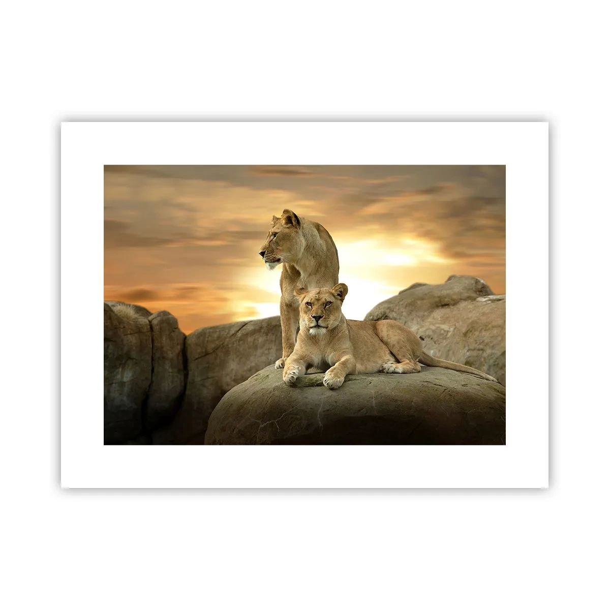 Póster - Majestuosidad real - 40x30 cm