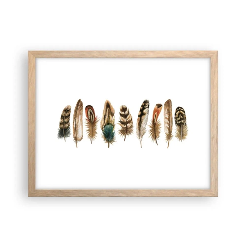 Póster en marco roble claro - Estudio de plumas - 40x30 cm