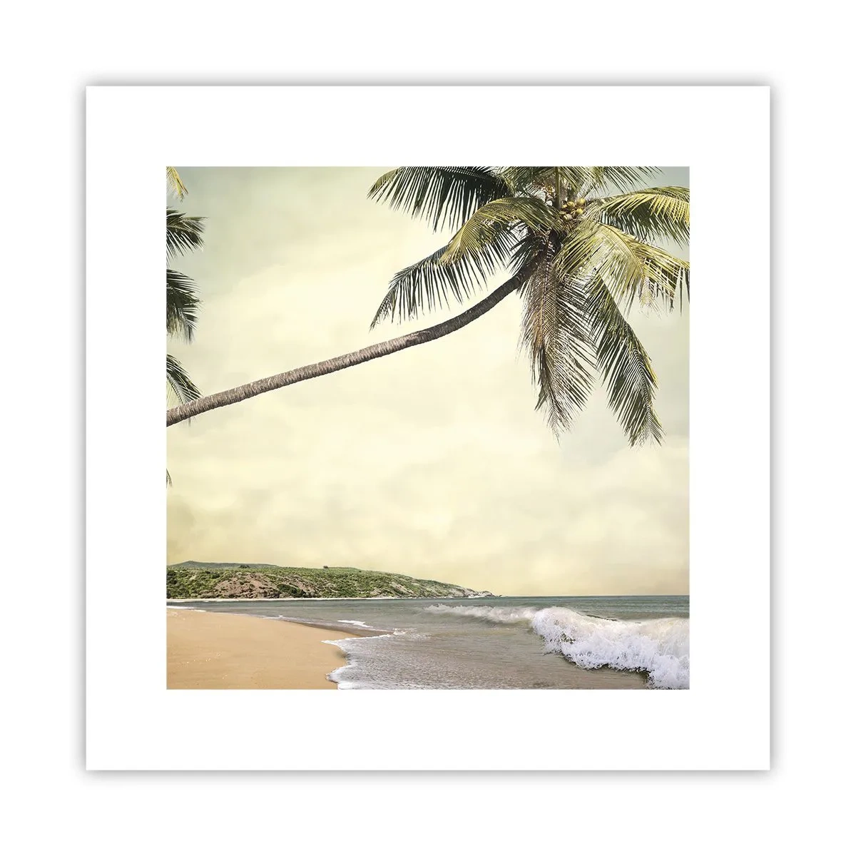 Póster - Sueño tropical - 30x30 cm