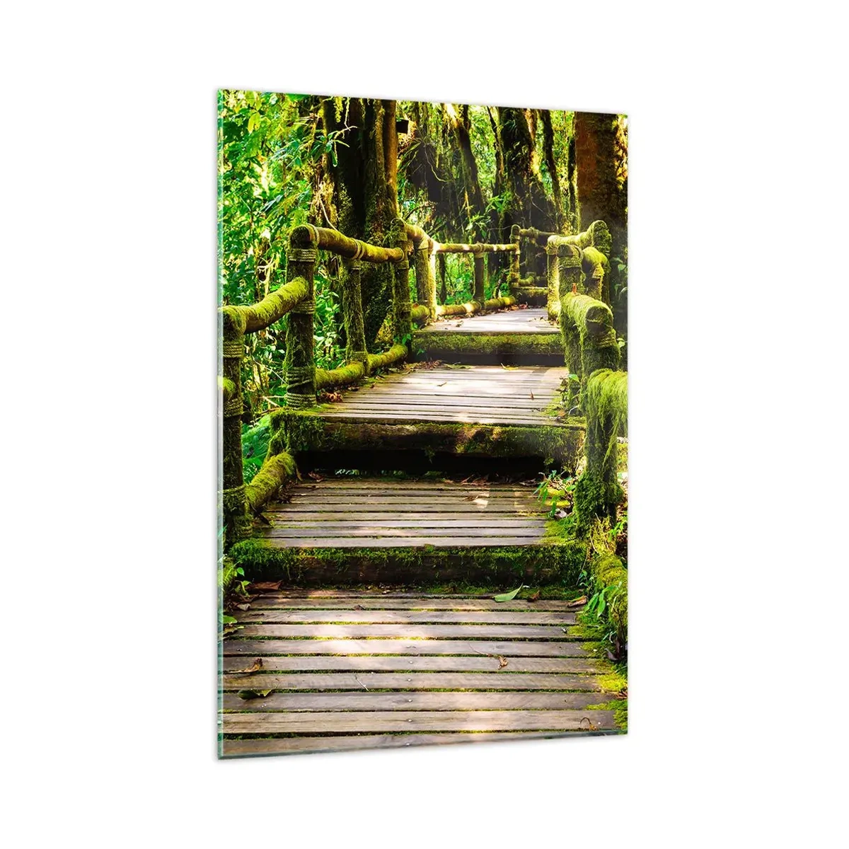 Cuadro sobre vidrio - Impresiones sobre Vidrio - Un puente de madera cubierto de musgo en una selva tropical. - 80x120cm - A través de un corredor verde - Decoración de pared moderna para salón y dormitorio ARTTOR