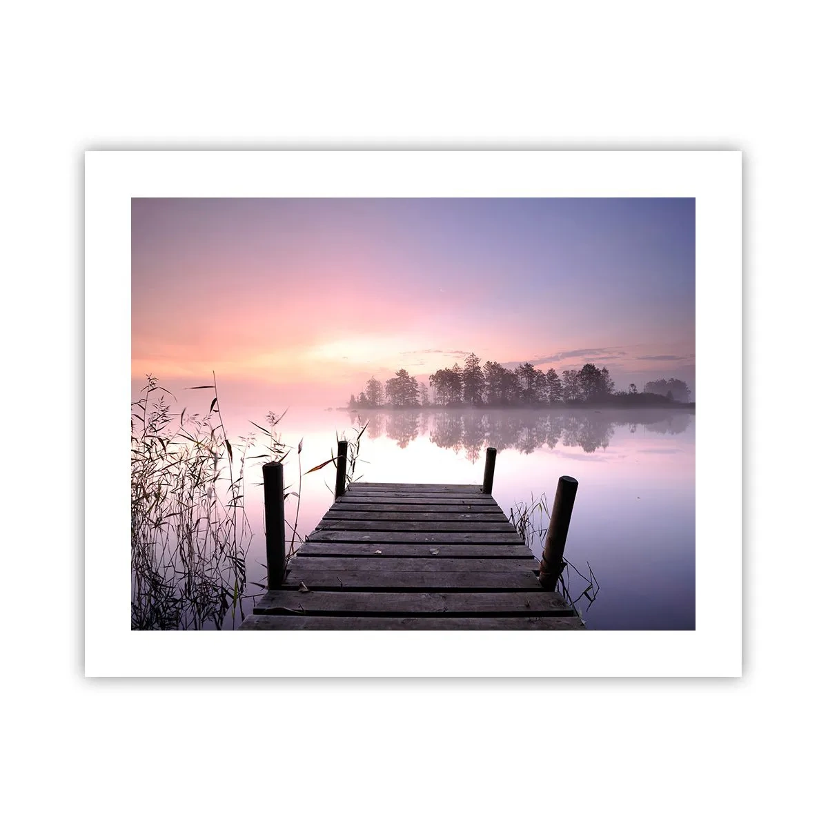 Póster - De la niebla lila... - 50x40 cm