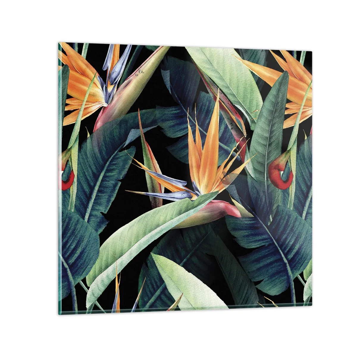 Cuadro sobre vidrio - Impresiones sobre Vidrio - Flores de llamas de los trópicos - 40x40 cm