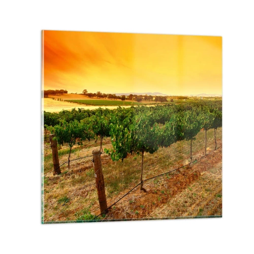 Cuadro sobre vidrio - Impresiones sobre Vidrio - Un trago del sol - 30x30 cm