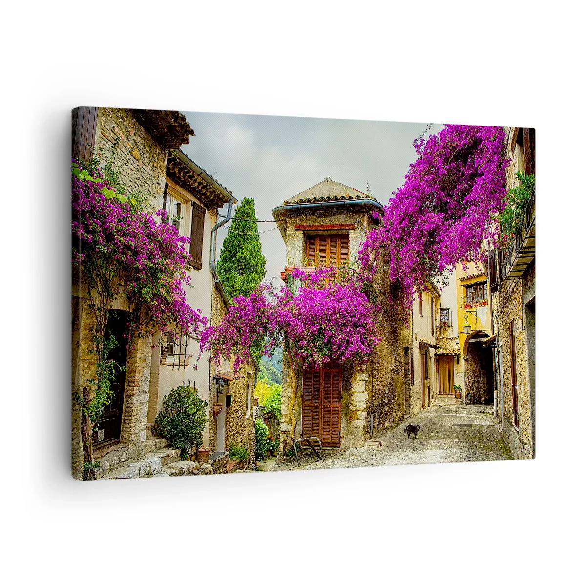 Cuadro sobre lienzo - Impresión de Imagen - Una calle de piedra con flores rosas y casas. - 70x50cm - Bajo un manto de flores - Decoración de pared moderna para salón y dormitorio ARTTOR