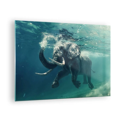 Cuadro sobre vidrio - Impresiones sobre Vidrio - Un elefante nadando bajo el agua en el océano azul. - 70x50cm - A todos nos gusta nadar - Decoración de pared moderna para salón y dormitorio ARTTOR