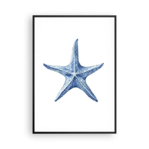 Póster en marco negro - Estrella de mar - 70x100 cm