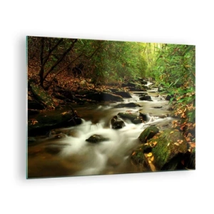 Cuadro sobre vidrio - Impresiones sobre Vidrio - Un arroyo en el bosque rodeado de piedras y hojas. - 70x50cm - Como plata líquida - Decoración de pared moderna para salón y dormitorio ARTTOR