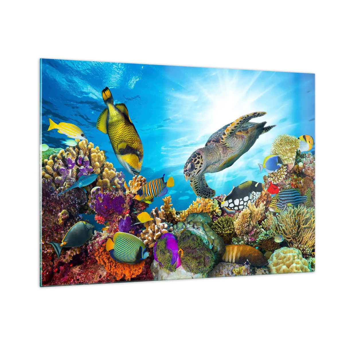 Cuadro sobre vidrio - Impresiones sobre Vidrio - Escena submarina con tortugas, peces y corales. - 100x70cm - Paseo del coral - Decoración de pared moderna para salón y dormitorio ARTTOR