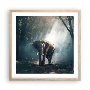 Póster en marco roble claro - Un paseo tranquilo - 50x50 cm