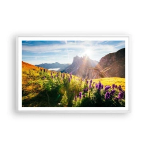 Póster en marco blanco - La vida secreta de las hierbas - 91x61 cm