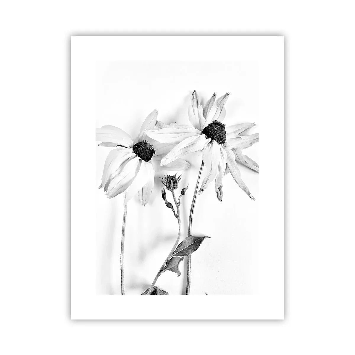 Póster - Nadie quiere estar solo - 30x40 cm