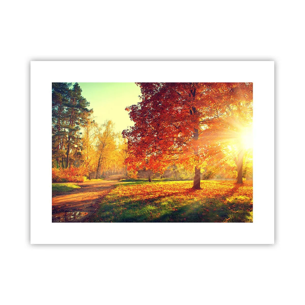 Póster - El rojo es hermoso - 40x30 cm