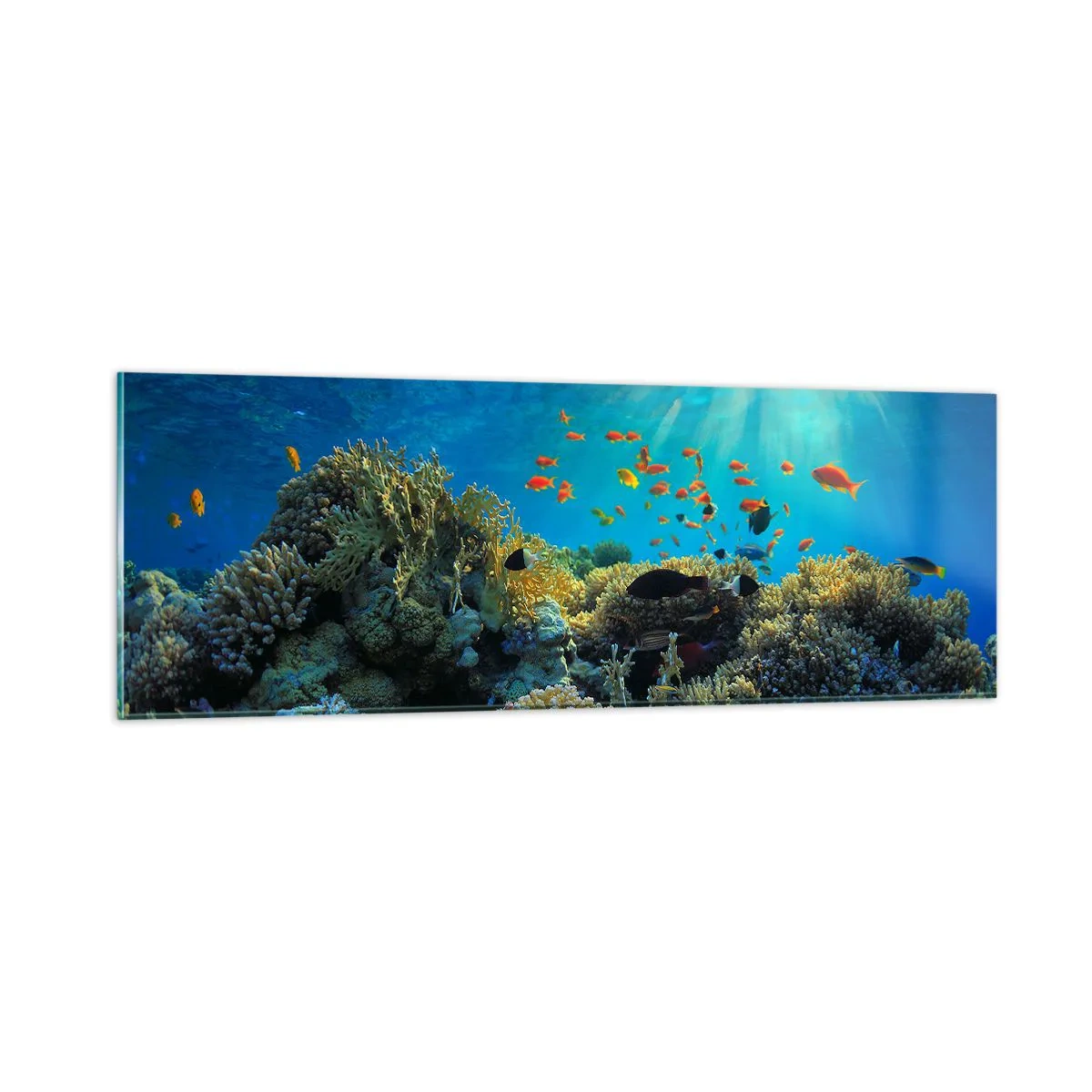 Cuadro sobre vidrio - Impresiones sobre Vidrio - Tesoros submarinos - 90x30 cm
