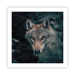 Póster - Cazador - 50x50 cm