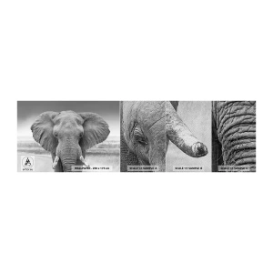 Muestra de fotomural Premium Sand - Bienvenido a mi mundo - Elefante, África, animales - 100x30 cm