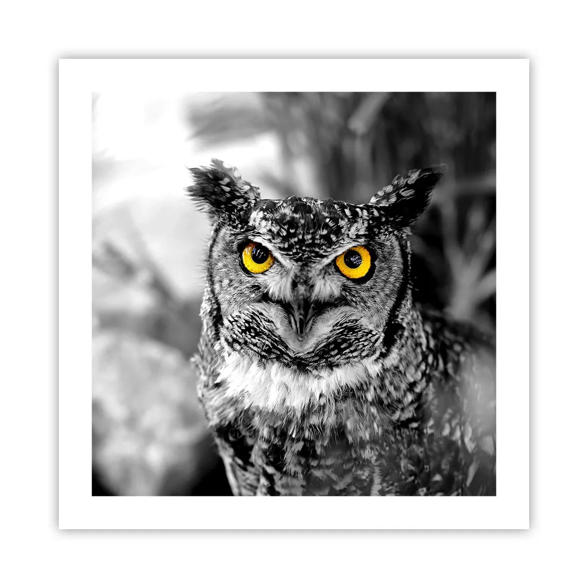 Póster - Nada se puede ocultar - 50x50 cm