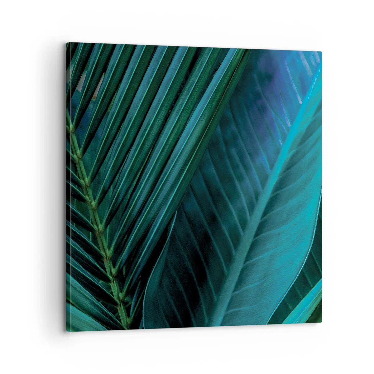 Cuadro sobre lienzo - Impresión de Imagen - Anatomía del verde - 60x60 cm