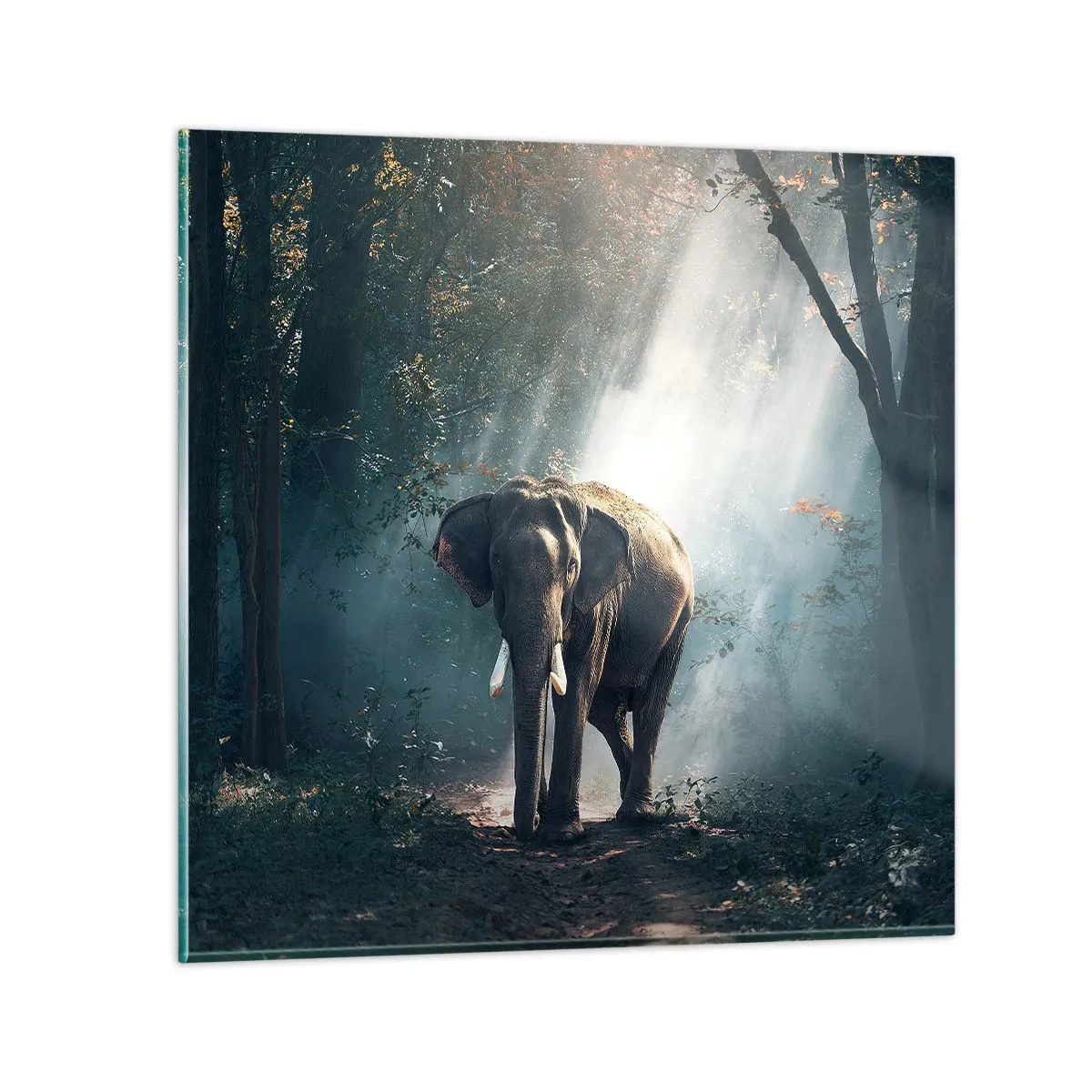 Cuadro sobre vidrio - Impresiones sobre Vidrio - Un paseo tranquilo - 70x70 cm