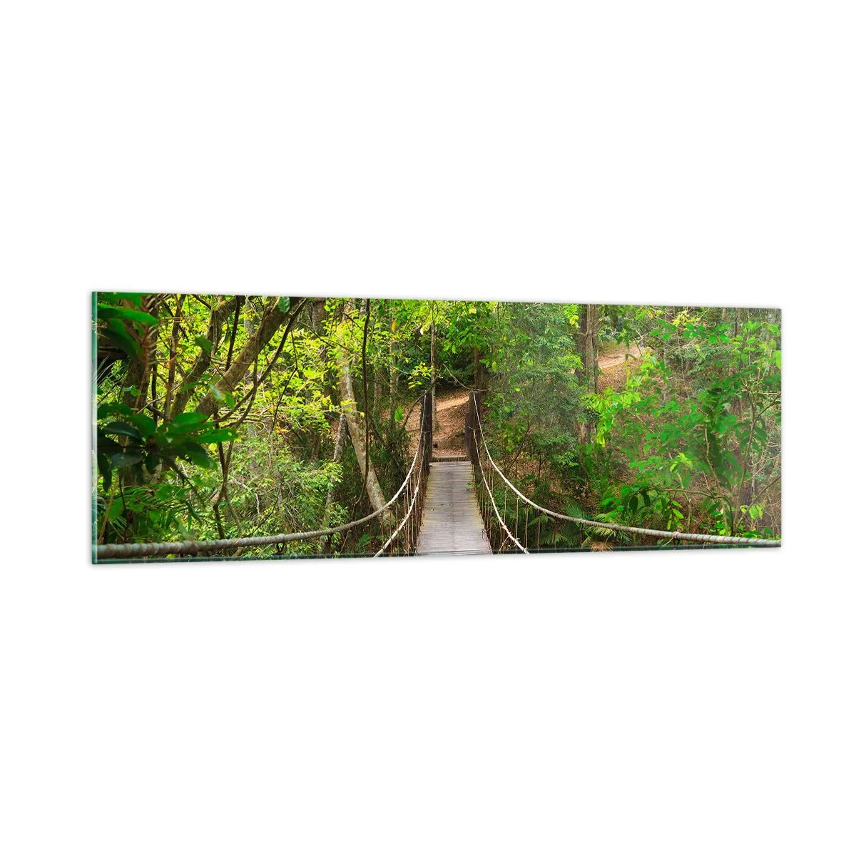 Cuadro sobre vidrio - Impresiones sobre Vidrio - Porque la vid crece en el jardín - 90x30 cm