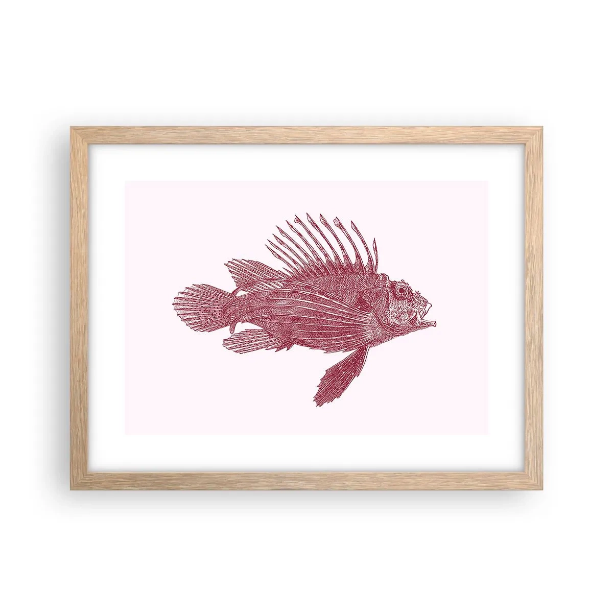 Póster en marco roble claro - Un habitante de aguas exóticas - 40x30 cm