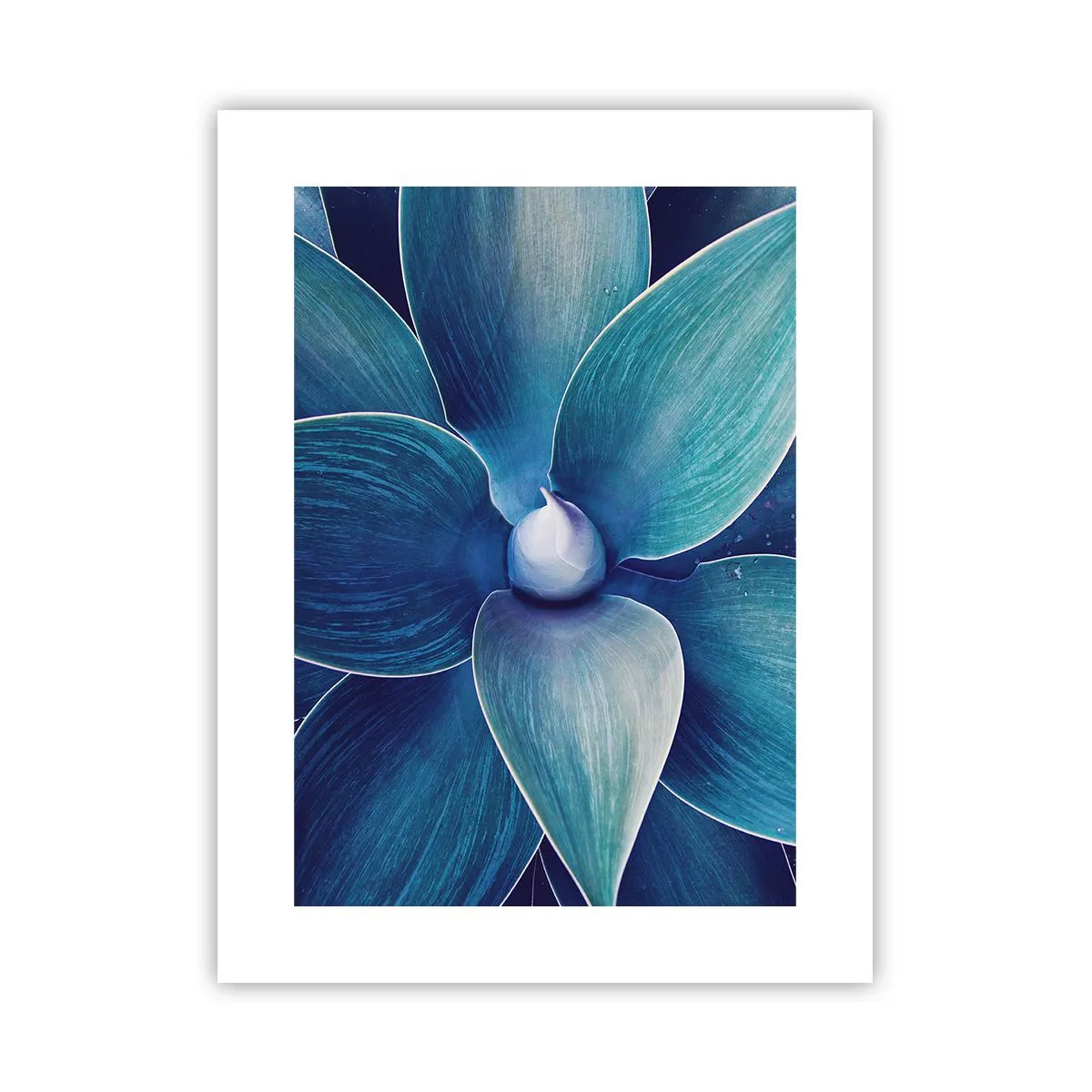 Póster - Azul del cielo - 30x40 cm