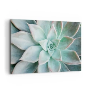 Cuadro sobre lienzo - Impresión de Imagen - Primer plano de una suculenta verde - 120x80cm - El corazón del desierto - Decoración de pared moderna para salón y dormitorio ARTTOR