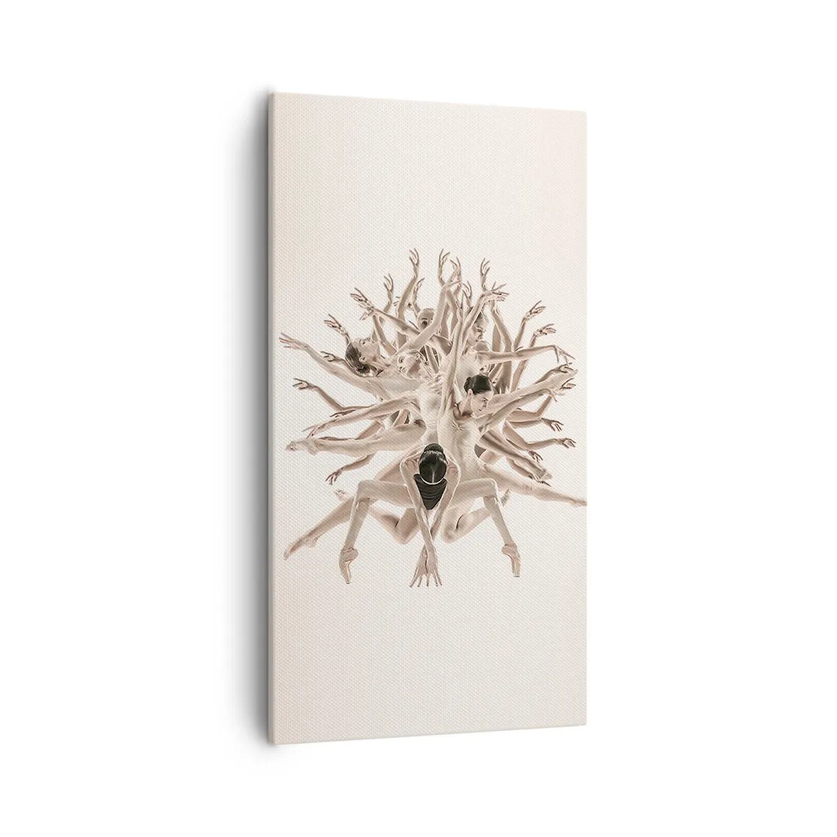 Cuadro sobre lienzo - Impresión de Imagen - Floreciendo en la danza - 55x100 cm