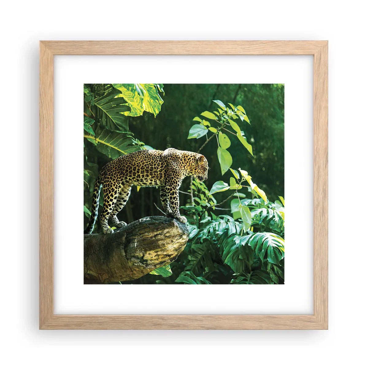 Póster en marco roble claro - ¿A la caza? - 30x30 cm