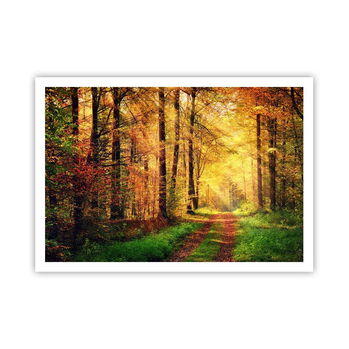 Póster - Un sendero forestal rodeado de árboles dorados y verdes. - 100x70cm - Silencio dorado del bosque - Decoración de pared moderna para salón y dormitorio ARTTOR