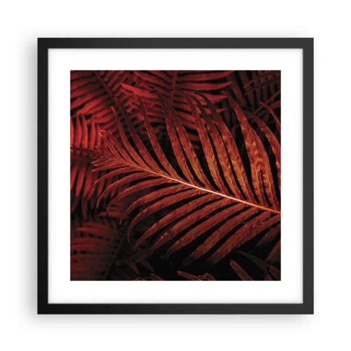 Póster en marco negro - Las brasas de la vida - 40x40 cm