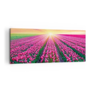 Cuadro sobre lienzo - Impresión de Imagen - Un campo de tulipanes al atardecer - 120x50cm - Granja de belleza - Decoración de pared moderna para salón y dormitorio ARTTOR