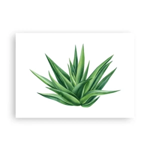 Póster - Verde - fuerza - vida - 70x50 cm