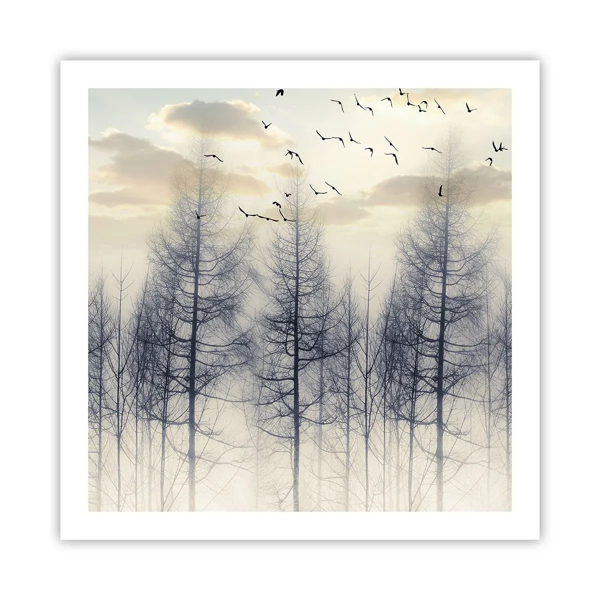 Póster - Espíritus del bosque - 60x60 cm