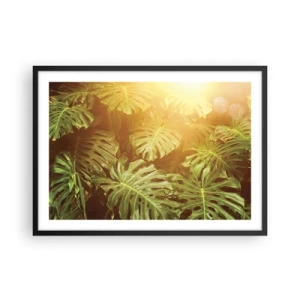 Póster en marco negro - Hojas de monstera a la luz del sol sobre un fondo natural. - 70x50cm - Hacia el verdor... - Decoración de pared moderna para salón y dormitorio ARTTOR