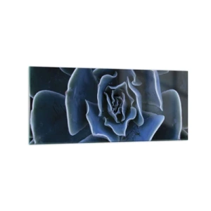 Cuadro sobre vidrio - Impresiones sobre Vidrio - Primer plano de una roseta suculenta verde - 120x50cm - Flor del desierto - Decoración de pared moderna para salón y dormitorio ARTTOR