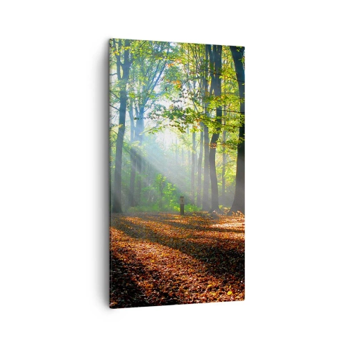 Cuadro sobre lienzo - Impresión de Imagen - Resplandores y sombras - 45x80 cm