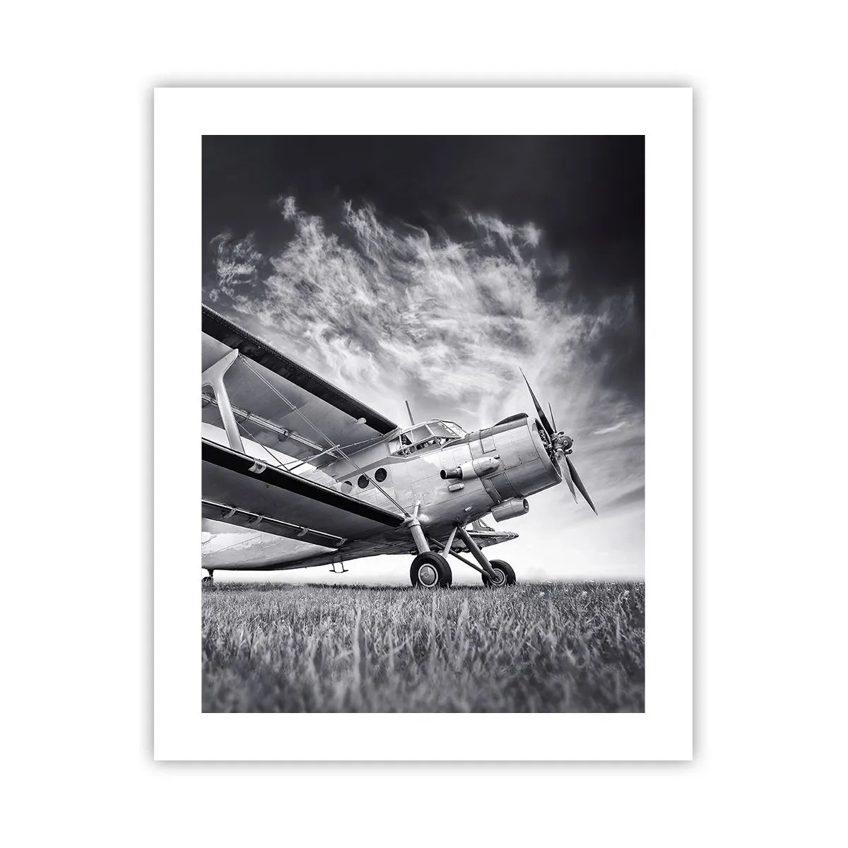 Póster - El vagamundo alado - 40x50 cm