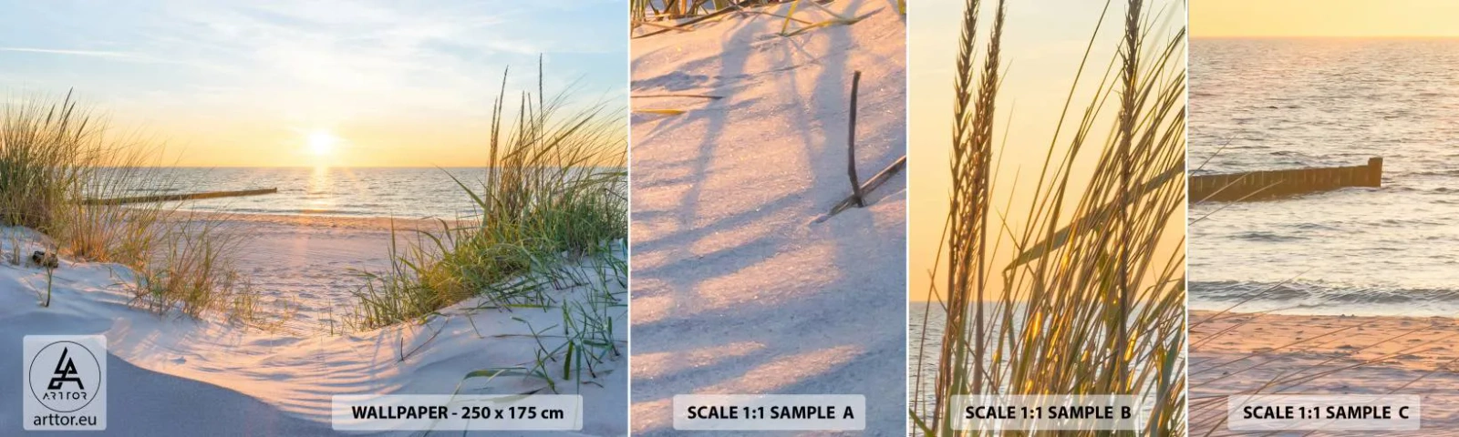 Muestra De Fotomural Standard Eco - El sonido del mar, el canto de los pájaros, una playa virgen entre las dunas... - Paisaje, Mar, Dunas - 100x30 cm