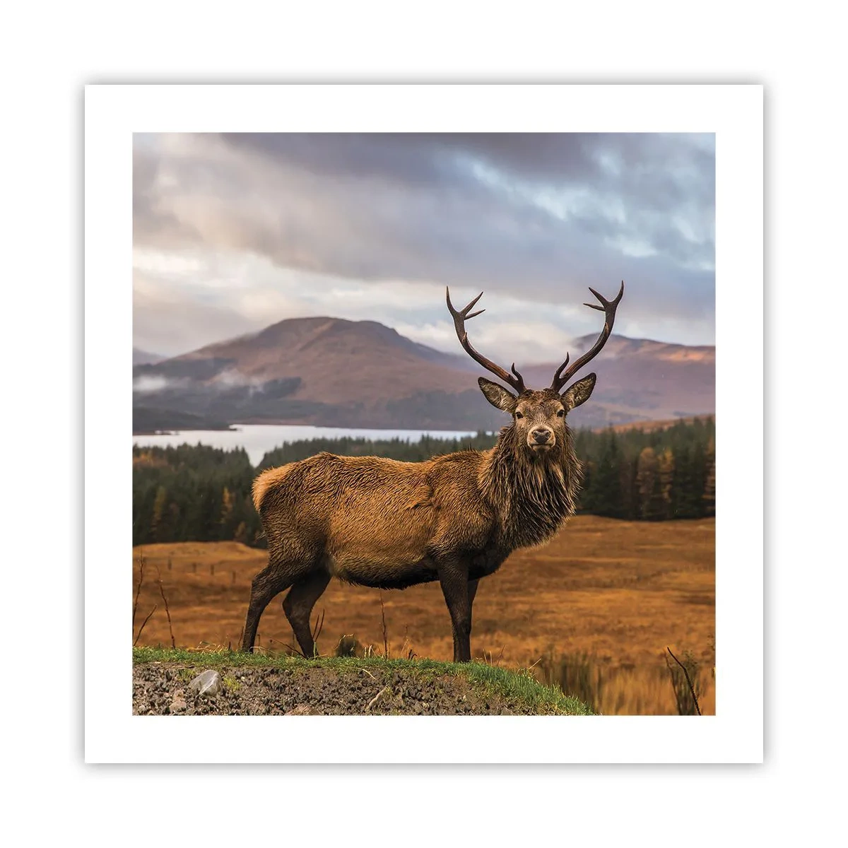 Póster - La majestuosidad de la naturaleza - 50x50 cm