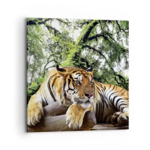 Cuadro sobre lienzo - Impresión de Imagen - Atentamente - 70x70 cm