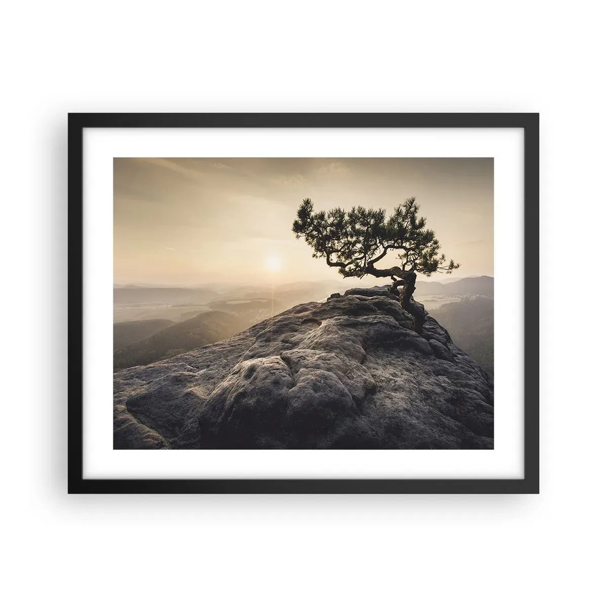 Póster en marco negro - La vida se abre camino - 50x40 cm