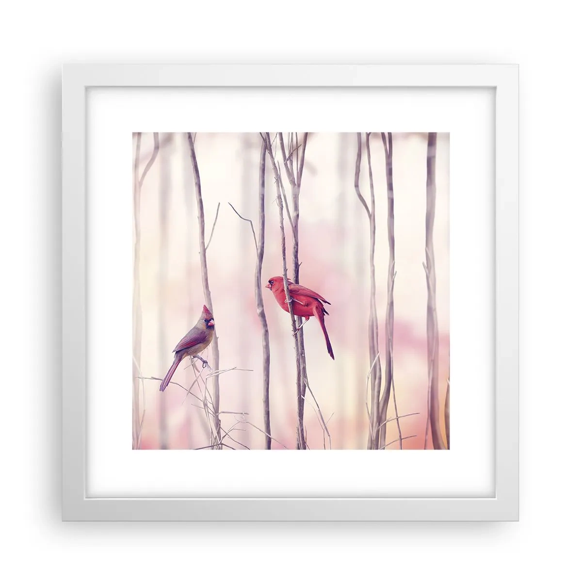 Póster en marco blanco - Historia de un bosque rosa - 30x30 cm