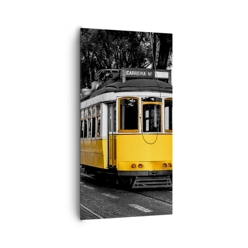 Cuadro sobre lienzo - Impresión de Imagen - Y un fado de fondo - 65x120 cm