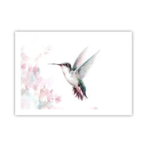 Póster - Plasmando el aleteo - 70x50 cm